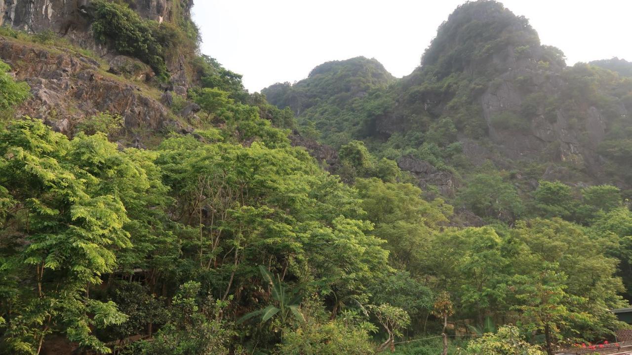 Hoan Chau Homestay Phong Nha Exterior photo